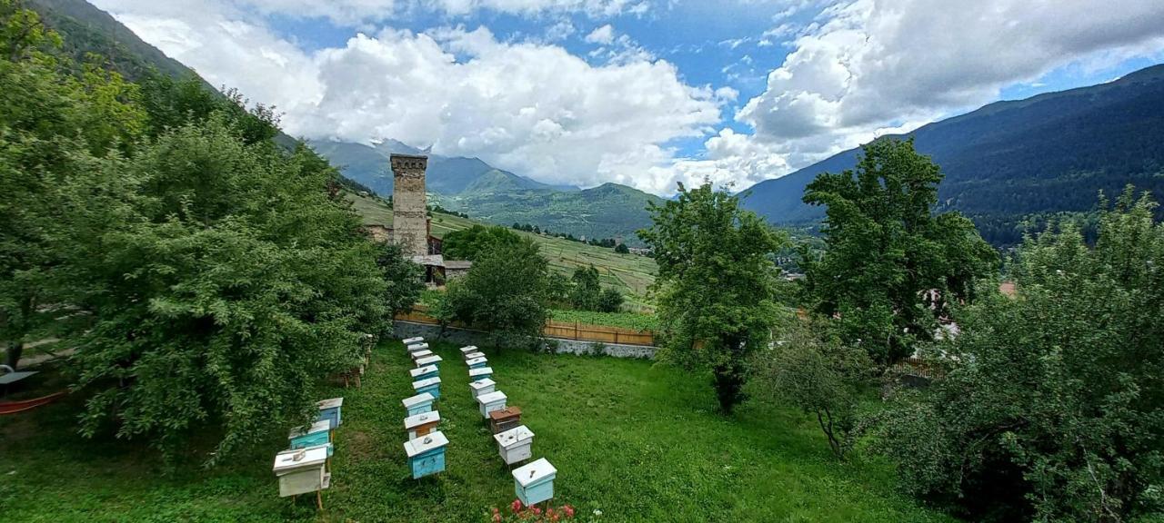 Bees Guesthouse ميستيا المظهر الخارجي الصورة